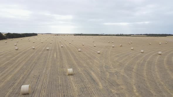 Aerial footage of rolled hay bales in an agricultural field in regional Australia