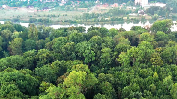 Nice top view of the park, forest covered with greenery. Morning river in fog.