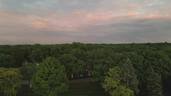 aerial footage of pink sky camera going forward on top of the threes