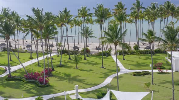 Aerial backwards shot of tropical palm trees,beach and Caribbean sea during summer - Children and to