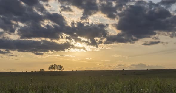 Flat Hill Meadow Timelapse at the Summer Sunset Time. Wild Nature and Rural Field. Sun Rays, Trees