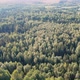 Drone Flight Over Fir Forest Treetop - VideoHive Item for Sale
