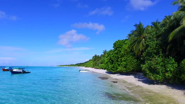 Close up tourism of tourist beach wildlife by lagoon and sand background near sandbank