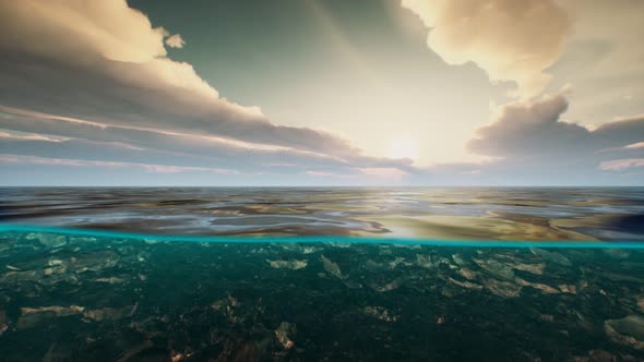 Underwater View with Horizon and Water Surface Split By Waterline