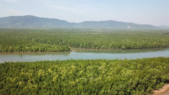 Aerial View on Mangrove Forest in Thailand