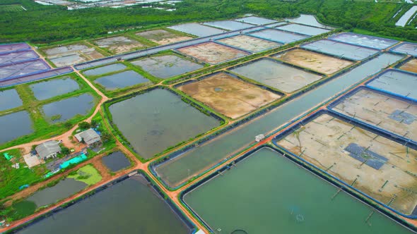 An aerial view over a drone flying over a large shrimp farm