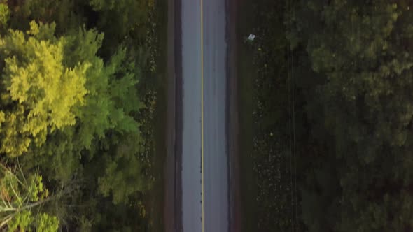 A red car drives down a long road between large trees