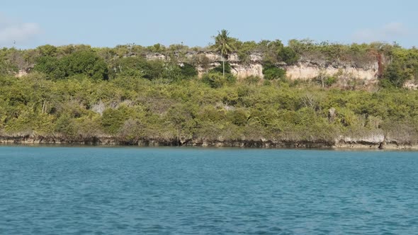 View of Unspoiled Coast of Zanzibar with Forest Palms Coral Reefs and Ocean