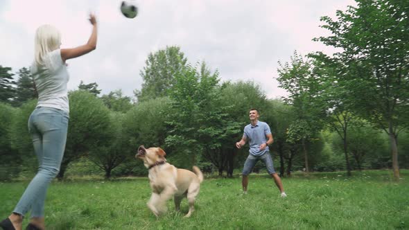 Summertime, Outdoor Recreation, a Man and a Woman Play with a Dog on a Green Lawn, Summer Vacation.