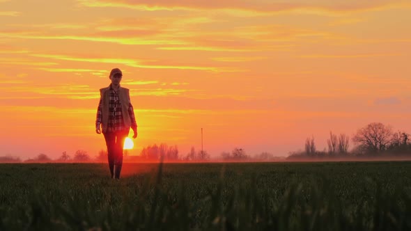 A Confident Farmer Walks Across the Field Towards the Rising Sun Against the Backdrop of Picturesque