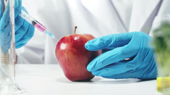 Medical Scientist Inspecting Apple Working in Laboratory