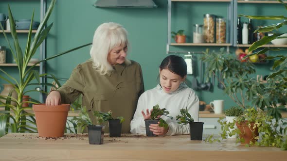 Granny and Granddaughter Taking Care of Plants Transplants Home Plants Into New Pots