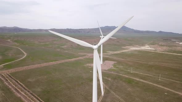 Windmills Stand in the Middle of Green Fields