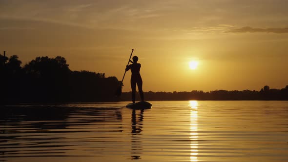 Female Silhouette on SUP Board at Sunset