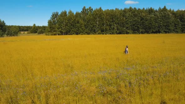 Summer Landscape Girl Field of Flax