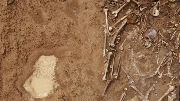 Skulls and Bones of People in the Ground Work of the Search Team at the Site of a Mass Shooting of