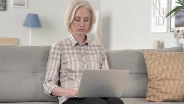 Old Woman Working On Laptop