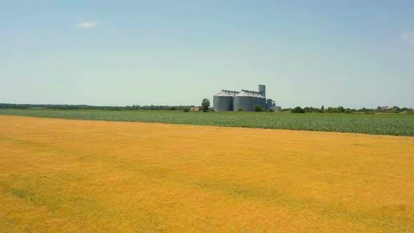 Modern Grain Silos At The Field Of Golden Wheat