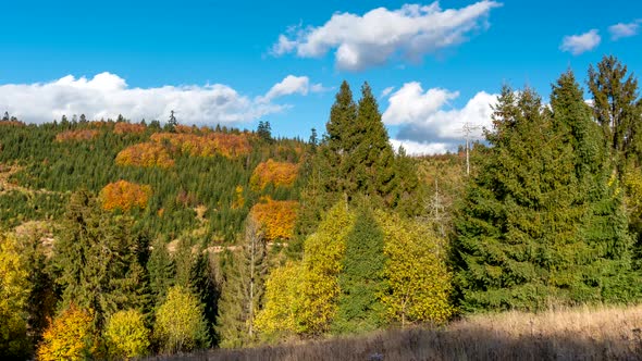 Autumn scenery in the mountains.