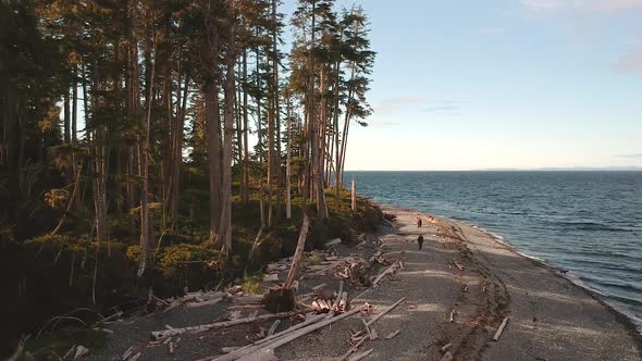 Drone shot with forest , beach and ocean.