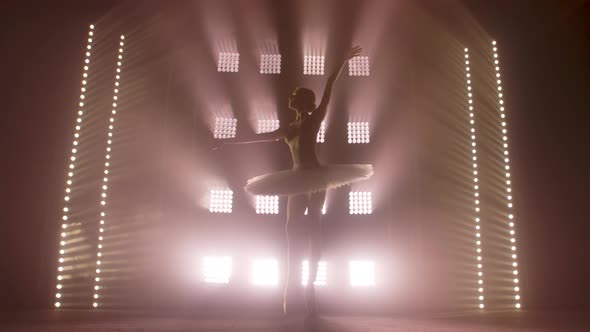 Diligent Young Graceful Ballerina Dancing Elements of Classical Ballet in the Dark with Light and