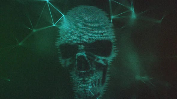 Digital Skull