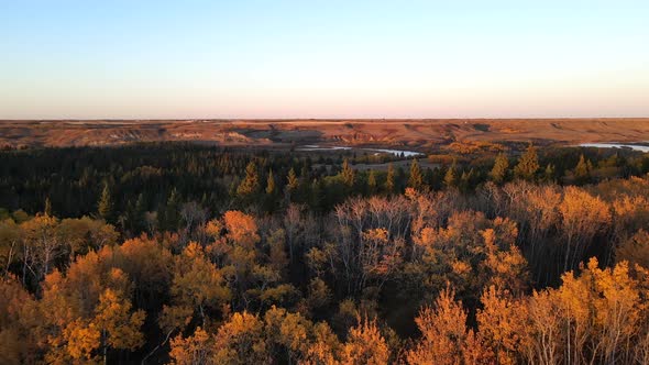 Drone flying forwards revealing a forest and a river in Central Alberta during fall season. 4K aeria