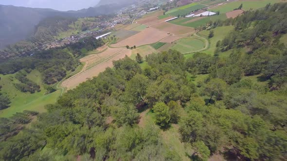 FPV Of Agricultural Landscape In Constanza, Dominican Republic - drone