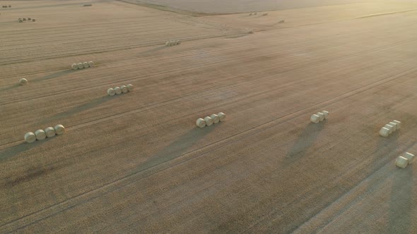 Bales Of Hay