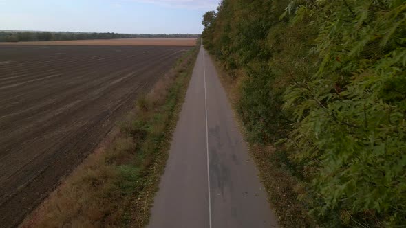 Drone Fly Over Countryside Road with Field and Trees on Sides