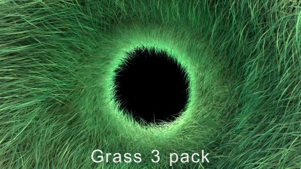 Grass Background 3 Pack 4K