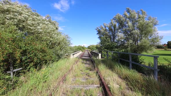 Abandon railroad with bridge in front, windy summer