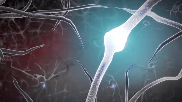 Neural Network with zoom into a Synapse and release of a Neurotransmitter. alt