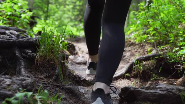 close up of girl walking through the woods on a hiking path in Golden, British Columbia, Canada