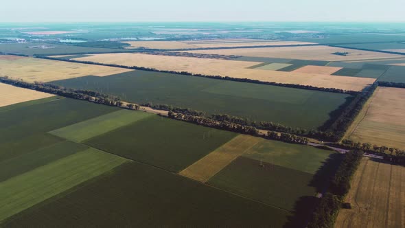 Aerial Drone View Flight Over Different Agricultural Fields Sown