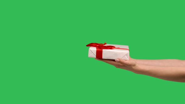 Female Hands Giving a Gift Box on the Background of a Green Screen Chroma Key