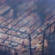Meat on a Hot Grill - VideoHive Item for Sale