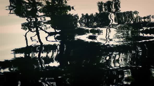 Forest Reflection In Water Abstract