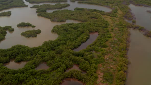 Forwards Revealing Footage of Tropical Coastal Landscape