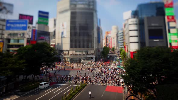 Time Lapse of the famous Shibuya Crossing in Tokyo Japan