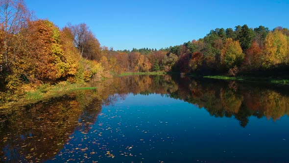 Colorful Autumn Forest Wood on the Lake