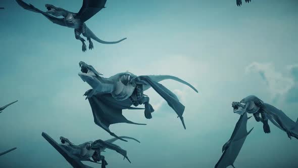 Flying Wyvern Dragons In Air Hd