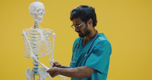 Young Doctor Explaining Human Anatomy