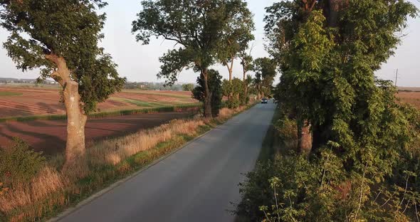 A Beautiful SUV Rides on an Asphalt Road at Sunset