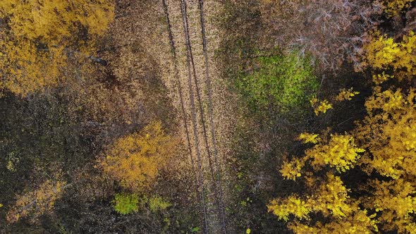 Flying Over the Railway That Passes Through the Forest