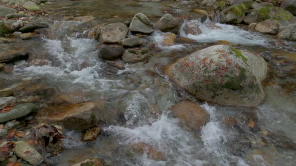 Autumn river in mountain forest at slow motion with yellow and red foliage trees