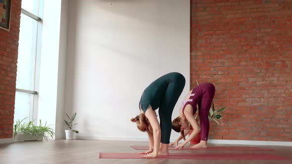 Two Women in Sports Uniforms are Engaged in Yoga in Beautiful Studio
