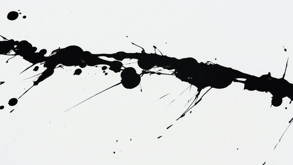 Abstract Artistic Ink Splatters Black Paint Droplets Falling and Spreading on White Background Close