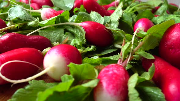 Radish Fruits 2