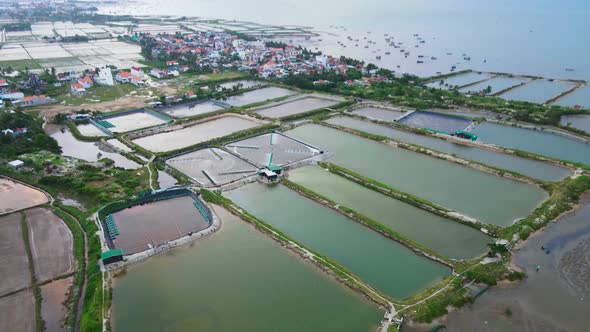 Amazing Drone Footage Of Shrimp Farming In Tuy Hòa, Vietnam.